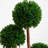 Boxwood Topiary Tree Artificial Plant