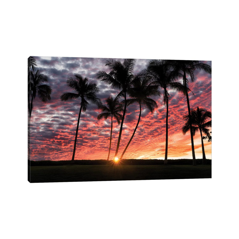 Palm Sunrise by Dennis Frates - Wrapped Canvas Print, 45.72cm H x 66.04cm W x 3.81cm D