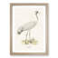 Common Crane by Von Wright - Picture Frame Painting Print-55686134-55686132