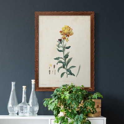 " Traditional Botanical III " Painting Print