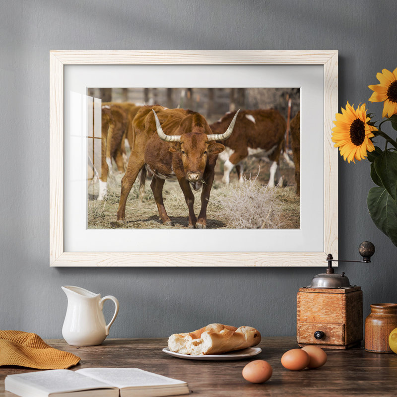 " Longhorns ", White, 14" H x 20" W x 1.5" D