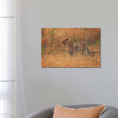 Leopard in Forest 1 Piece Wrapped Canvas Wall Art