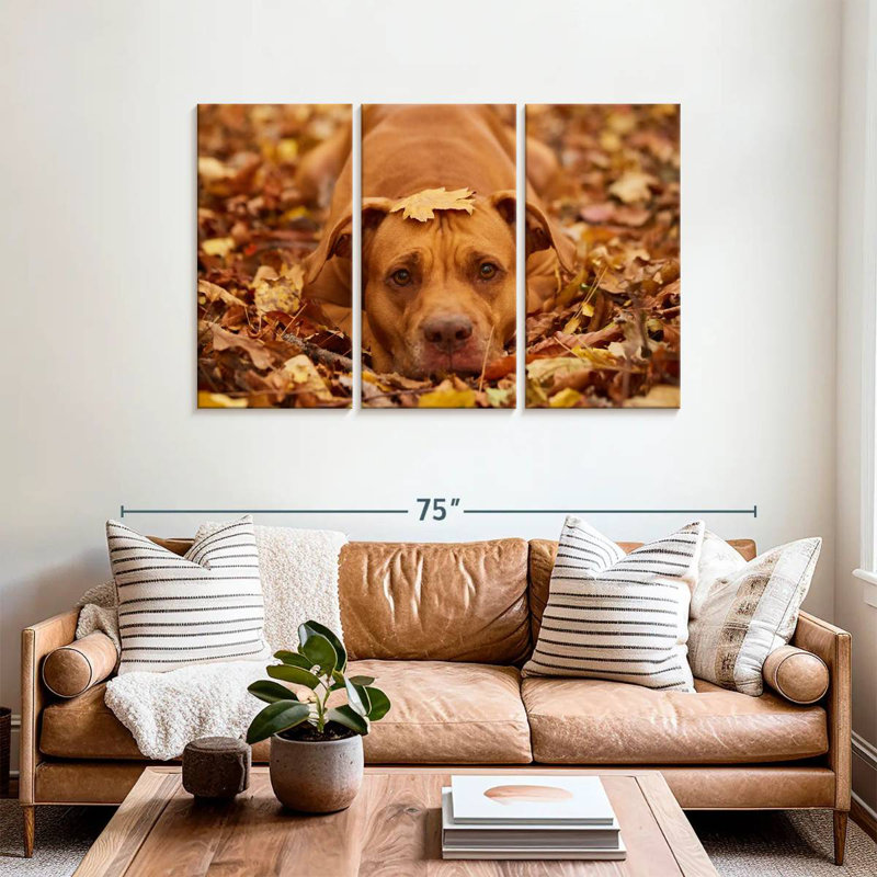 Mignon Pitbull d'automne, H 36 po x l 57 po