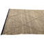 Tapis beige Orpheus