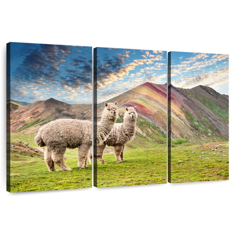 Brampt couleurs du Pérou - Palcoyo Alpacas, H 48 po x l 74 po