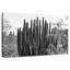 Harnek - Arizona noir - gros cactus-106811404