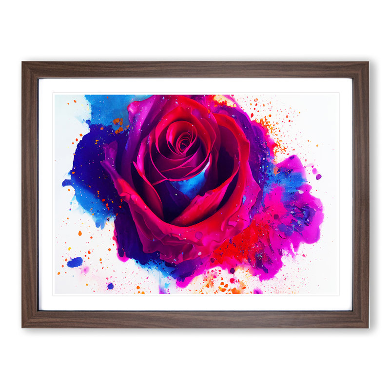 Rose Flower Splash Vol.1 Abstract - Single Picture Frame Print, 34cm H x 46cm W x 2cm D, Walnut Framed
