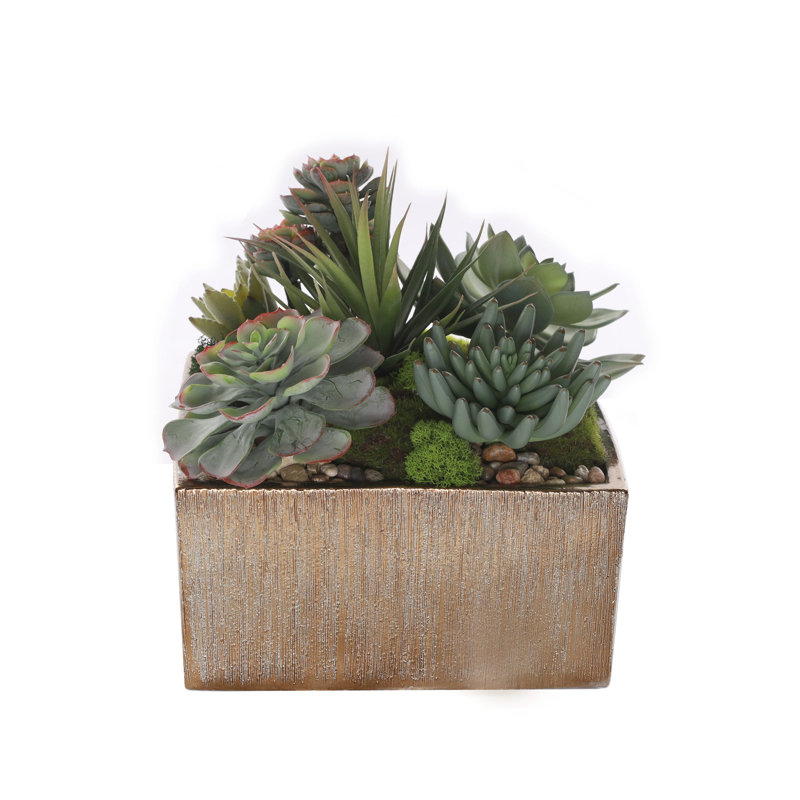 Faux Succulent in Square Etched Pot, Gold