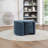 Tessio Storage Ottoman-1611483952