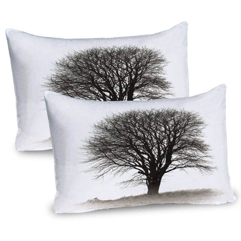 Ensemble de 2 taies décoratives gris Ambesonne, H 20 po x l 30 po