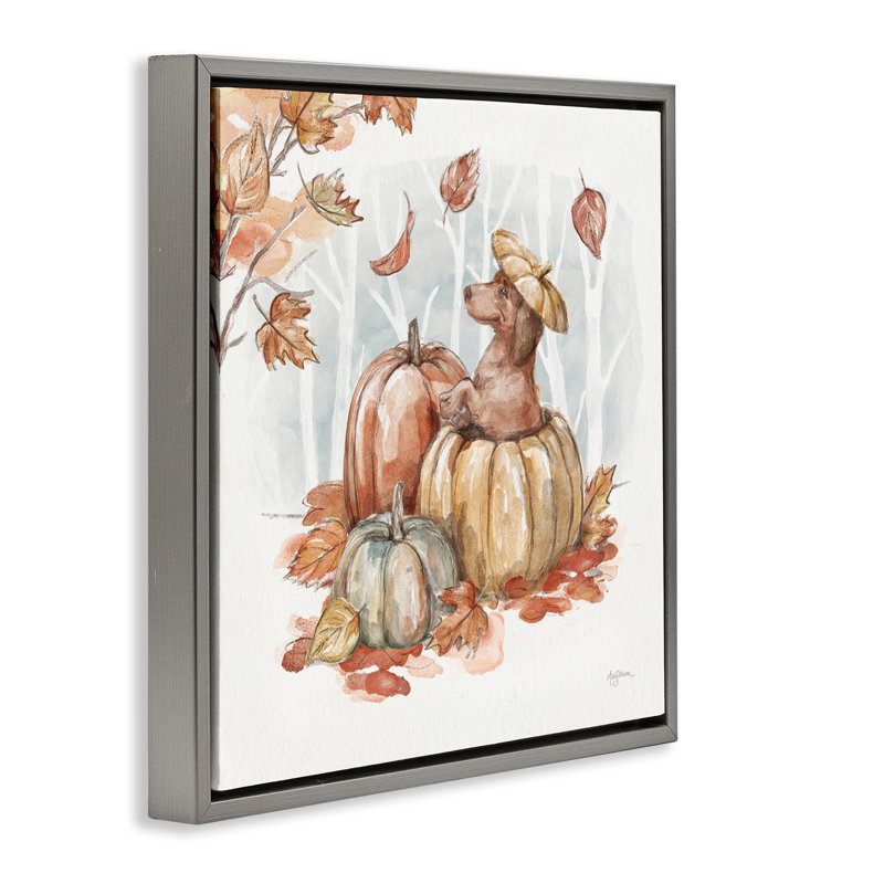 «Fun Dachshund & Pumpkin» par Mary Urban, Cadre flottant gris lustré, H 25 po x l 25 po