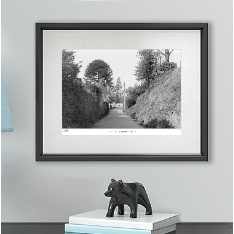 Tipton St John, C1950 by Francis Frith - Single Picture Frame Print, 40cm H x 50cm W x 2.3cm D