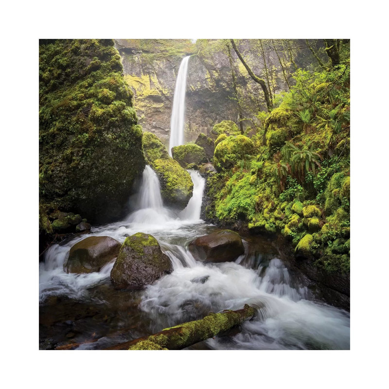 USA, Oregon. Spring View Of McCord Creek Flowing Below Elowah Falls In The Columbia River Gorge by Gary Luhm - Wrapped Canvas Print