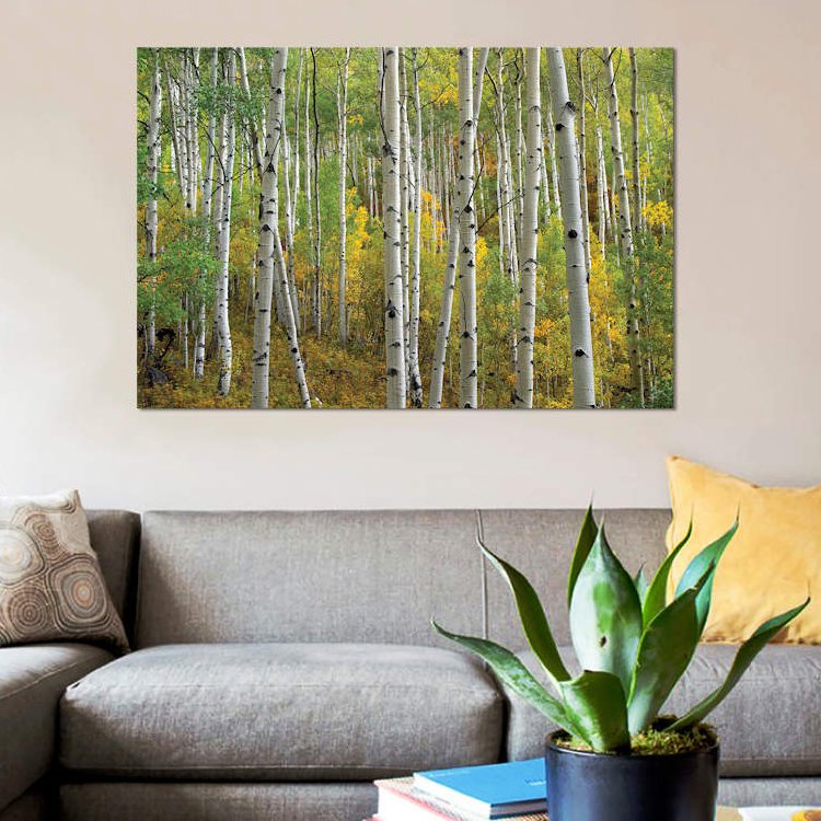«Quake Aspen in Autumn, Colorado II», reproduction de photo sur toile, H 12 po x l 18 po x P 1,5 po, Toile tendue