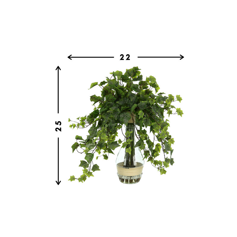 Jenner Faux Ivy Plant in Glass Vase