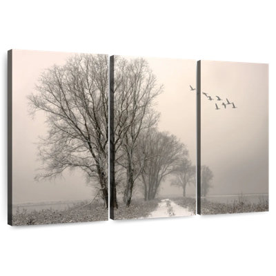 Alvord Winterlight