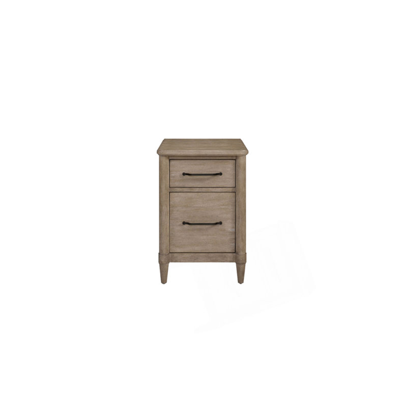 Durable 2-Drawer Filing Cabinet with Spacious Storage and Smooth Glides, Perfect for Organized Office Spaces