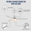 Sanaia 48'' Ceiling Fan with LED Lights