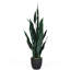 93 cm H Faux Snake Plant