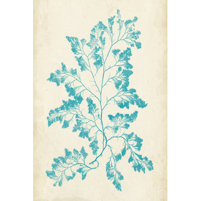 Aquamarine Seaweed I by Vision Studio - Painting