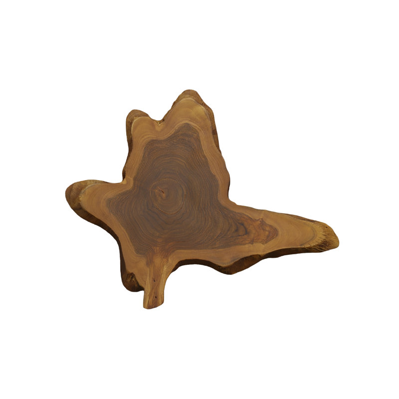 Teak Slice Wall Décor, Md, Natural