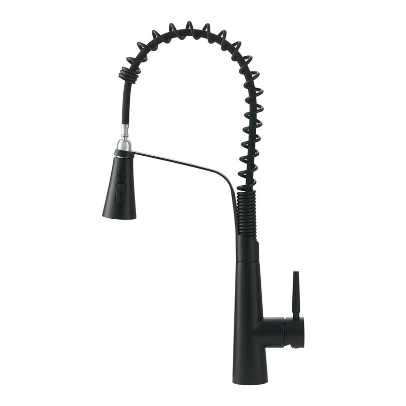 Belfry Kitchen Dunfee Pull Out Kitchen Faucet, Matte Black