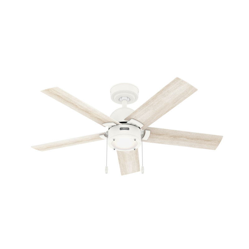 44" Erling 5 - Blade Ceiling Fan with LED Light Kit and Pull Chain, Matte White