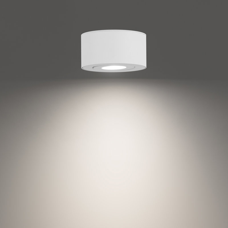 I Spy LED Outdoor Flush Mount, White, 3500K