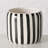 Bond Street Striped Planters