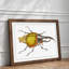 Hercules Beetle by George Shaw - Framed Print-55641724-55641725
