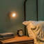 Demont Wallchiere-234218512