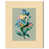 Gallery Wrapped n'est pas disponible