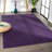 Athaniel Solid Low-Pile Purple Rug-557531667