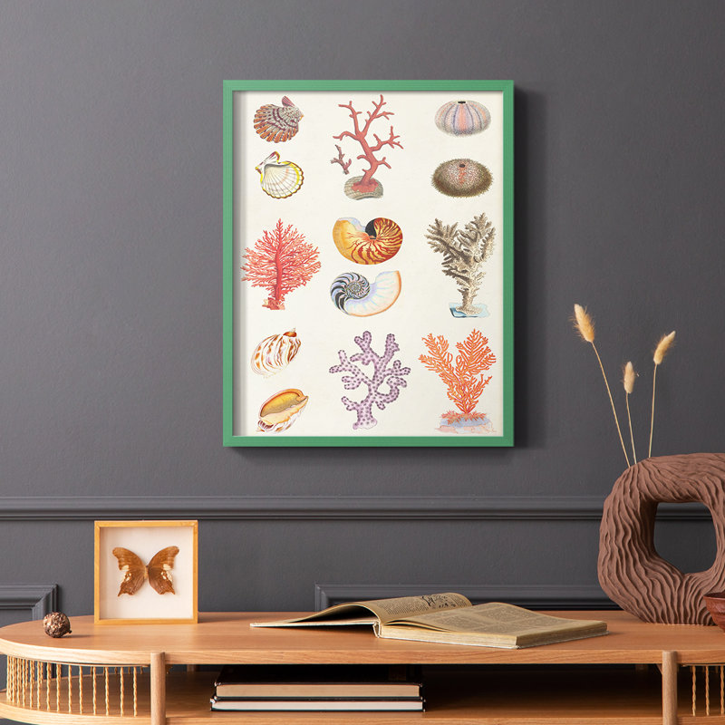 «Coral & Shell Collage I», reproduction encadrée - bois massif, Vert, H 10 po x l 8 po