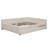 Queen Size Upholstered Platform Bed with USB and Twin Size Trundle, Beige