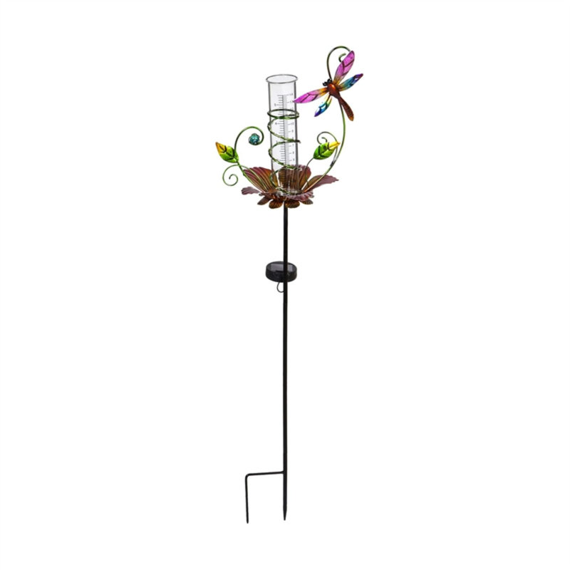 Jauge de pluie florale et libellule