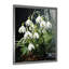 «Realistic Snowdrops Forest Chills II - Snowdrops», art mural sur toile-97193330-97193331
