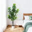 Figuier artificiel 6 / 7Ft figuier en pot, faux ficus lyrata pour la décoration intérieure et extérieure-1246606492