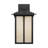 Tomek Large One Light Outdoor Wall Lantern from Generation Lighting -558991575-558991574