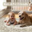 Area Rug-1594708986