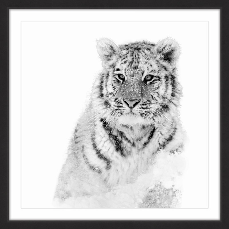 Single Picture Frame Print, 41cm H x 41cm W x 3.81cm D