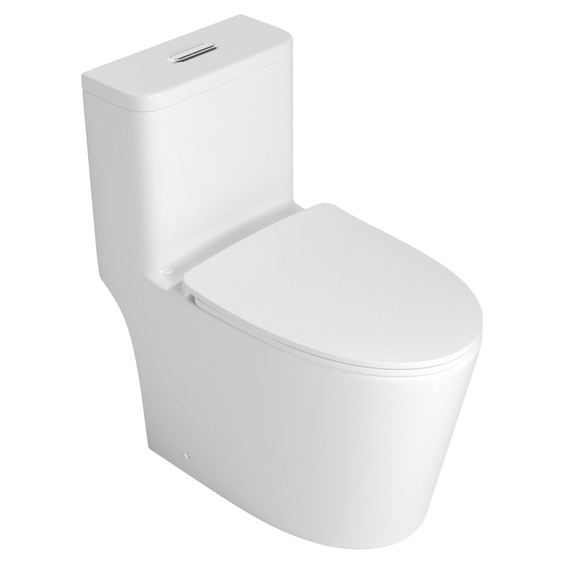 Toilette une pièce avec accessoires de haute qualité