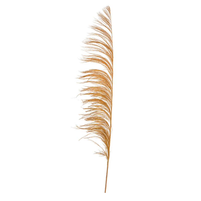 Lei palmier 60-72 po Uva, Doré Aspen