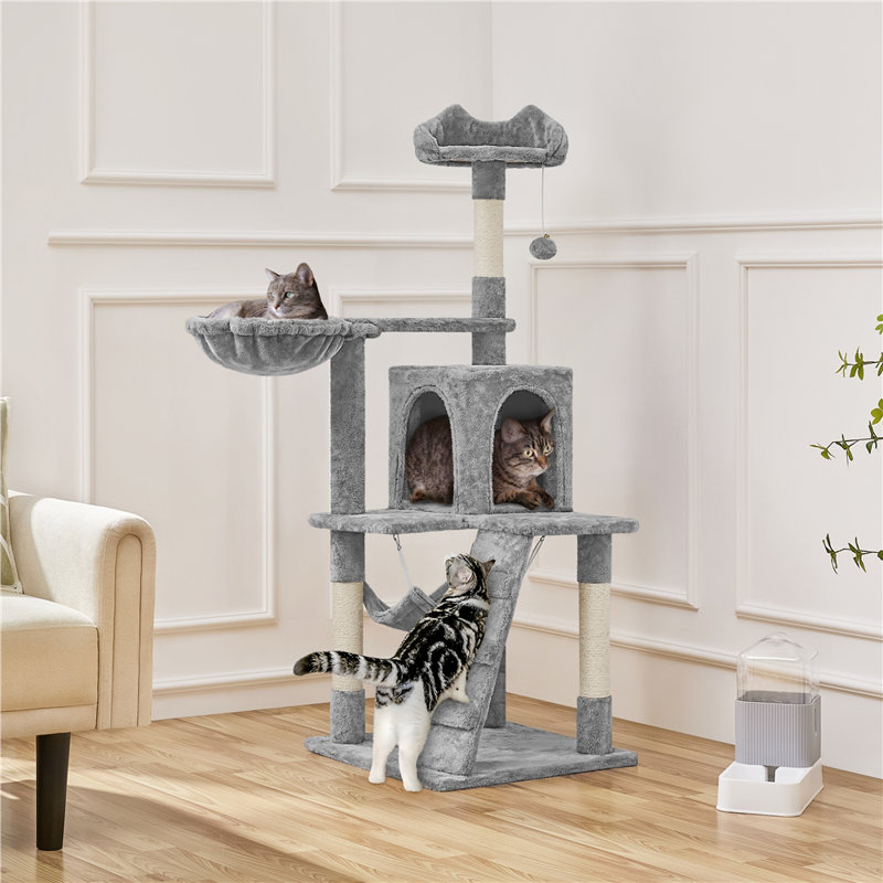 Arbre à chat Sievers, Gris clair