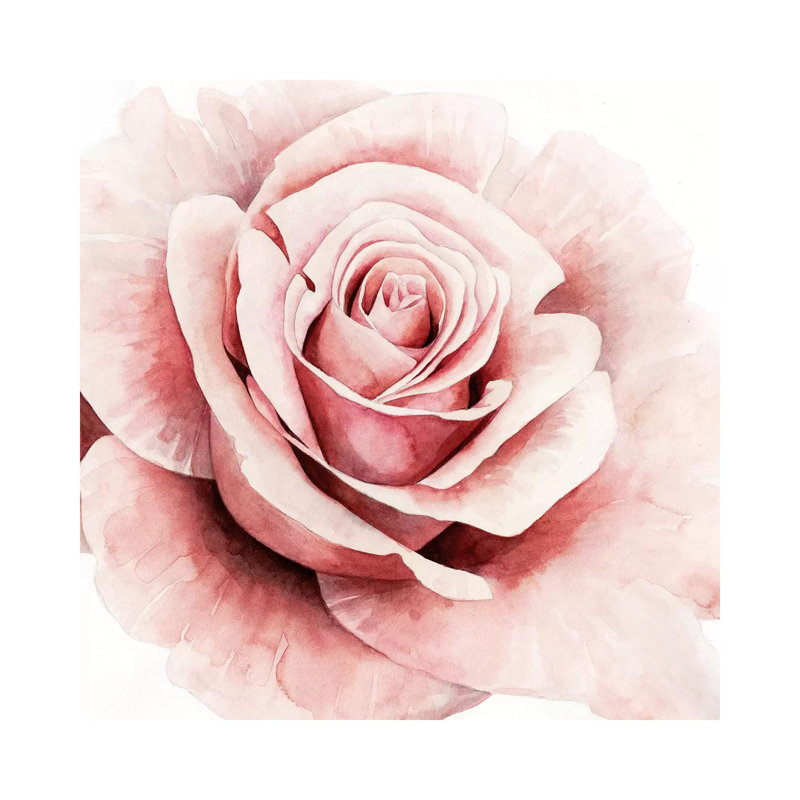 Pink Rose I by Grace Popp - Wrapped Canvas Painting, 66.04 cm H x 66.04 cm W x 1.91 cm D