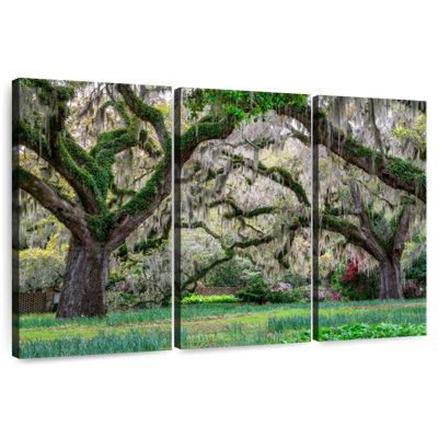 Harnek Mossy Oak Trees