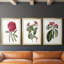 Roseate Blooms IV  -Custom Framed  Premium Print W Matt - 3 Pieces-114374633-114374634