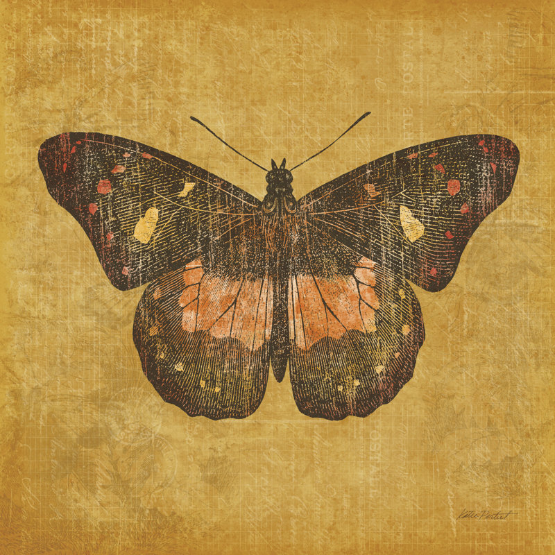 Papillon ocre sur toile, H 12 po x l 12 po, Papier avec cadre argenté, Non