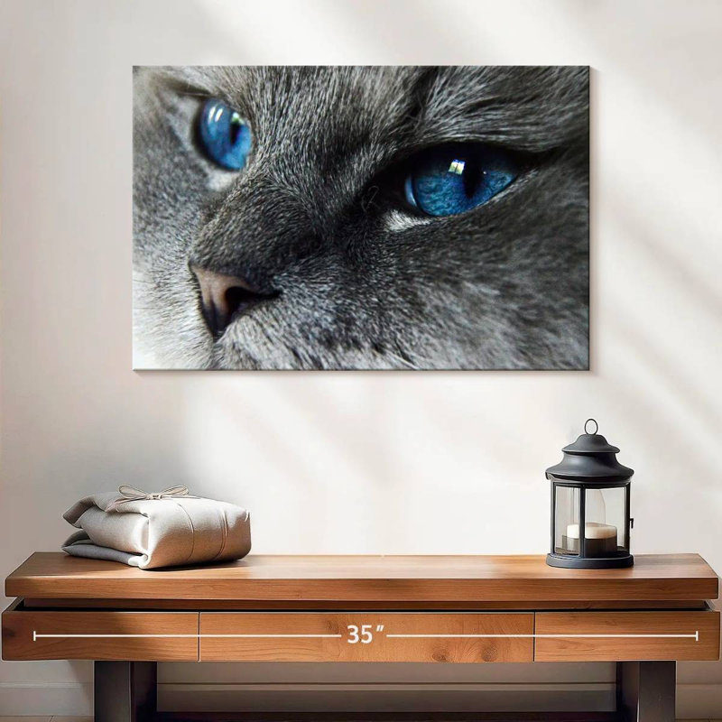 Brampt Cat Blue Eyes, 16" H x 24" W