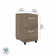 Studio C 16'' Wide 2 -Drawer Mobile File Cabinet